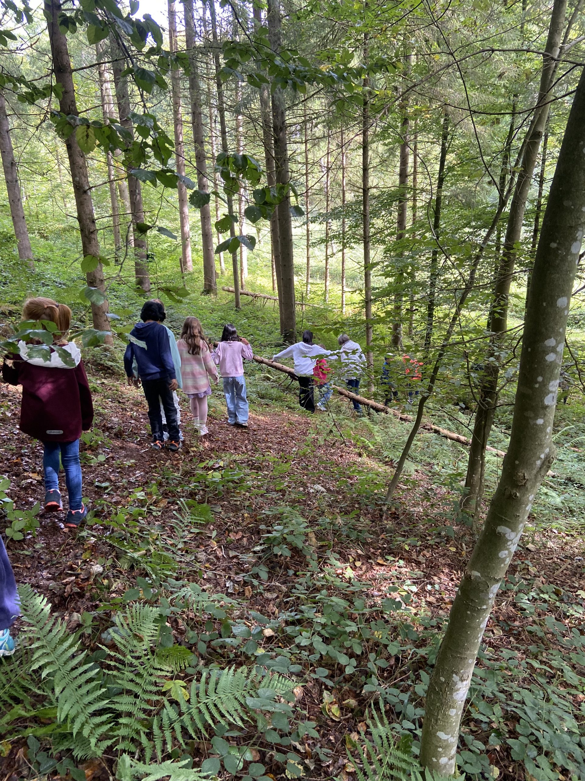 Ökomobil zu Besuch an der Grundschule Hegne – Ein unvergesslicher Tag im Wald
